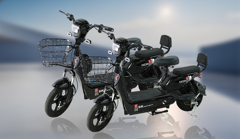 Electric Tricycle